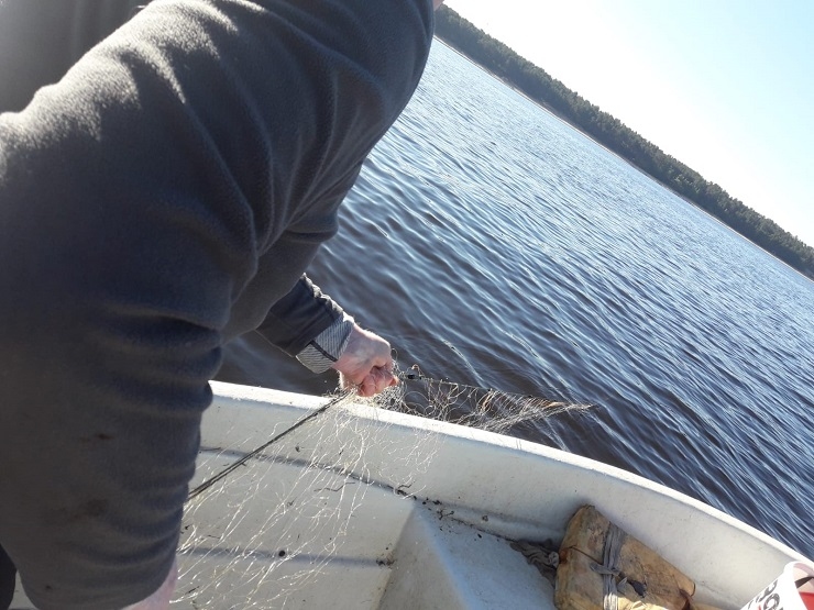 Autors: Valsts vides dienests