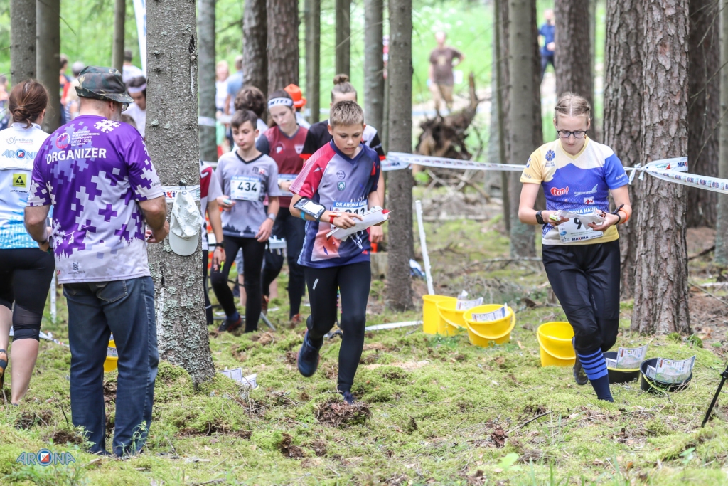 Autors:  Māris Stabiņš