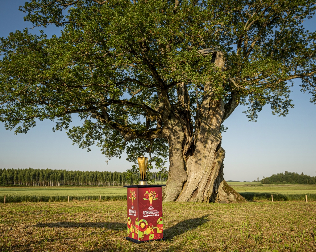 Kaņepju dižozola Jērcēnu pagastā, Strenču novadā
Autors: LBS
