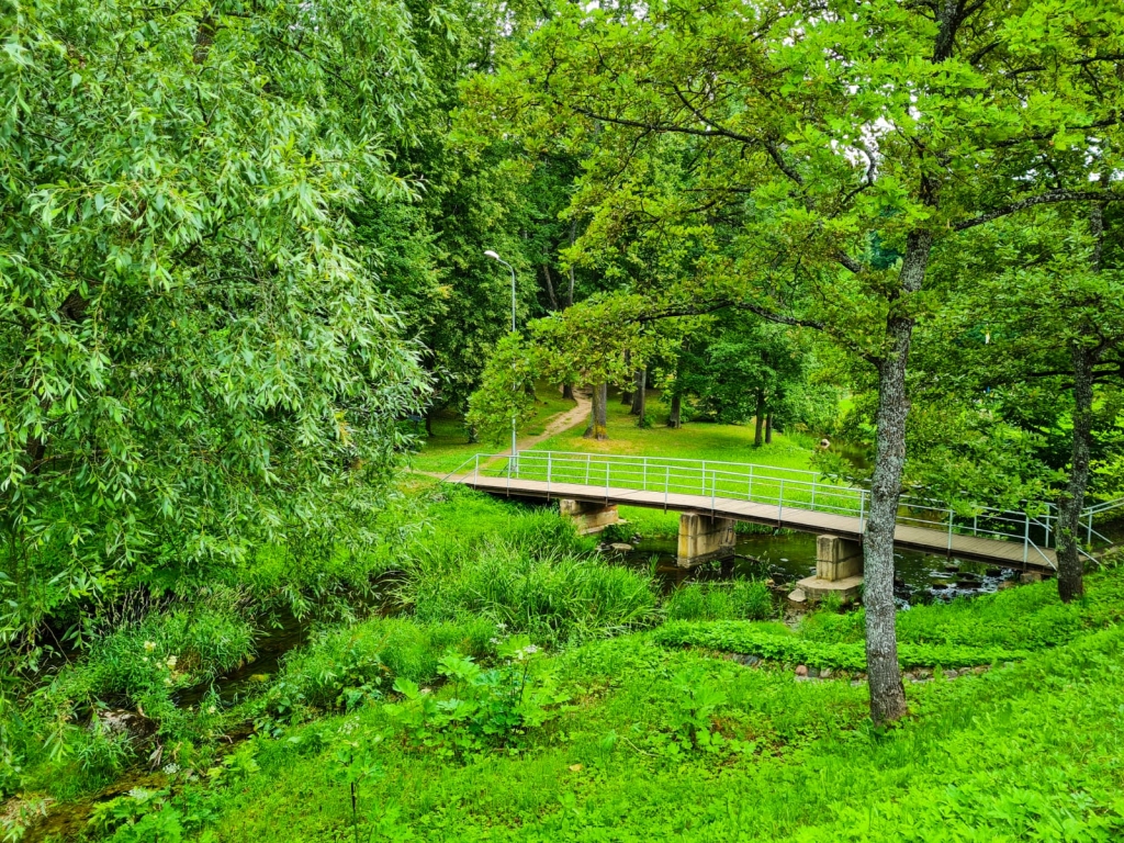 Pēdējo gadu laikā latvāņi savairojušies Smiltenē, Abula upes krastā pie Jaunā parka. Pašvaldībā atzīst, ka tieši ūdenstilpju tuvumā ir visgrūtāk apkarot latvāņu invāziju, jo aizliegts lietot ķīmiju.             
Autors: SANTA SINKA