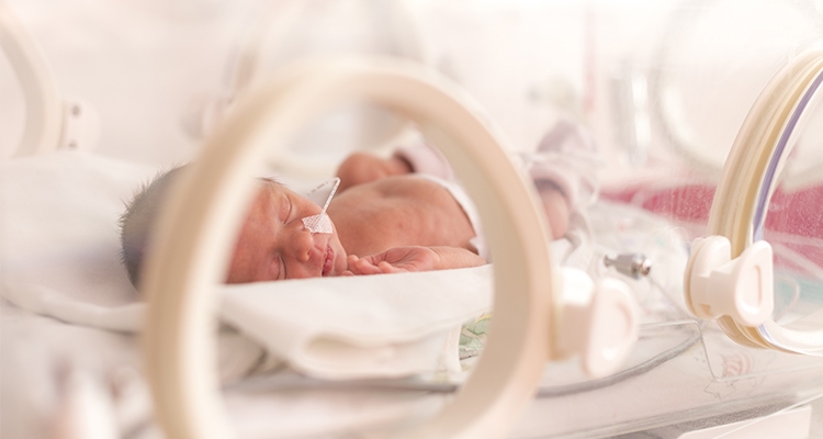Mātes piena banka vizuāli
izskatās kā parasta laboratorija.
Autors: no “Fernandezhospital.com”