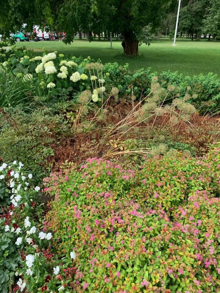Vērīgas iedzīvotājas iesūtītas fotogrāfijas apliecina, ka puķu dobes Lugažu laukumā, kas atrodas iepretim Valkas pilsētas kultūras namam, prasās pēc sakopšanas.                                                                                                                                                                                                                         
Autors: NO PERSONĪGĀ ARHĪVA