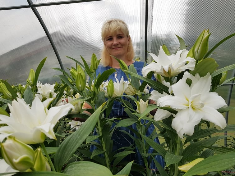 Valcēniete Indra Krūkliņa savas lilijas audzē plašā siltumnīcā.                                                                  
Autors: INGA KARPOVA