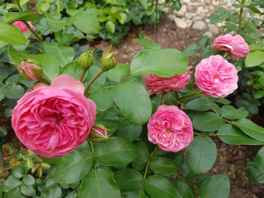 Autors: Inga Karpova