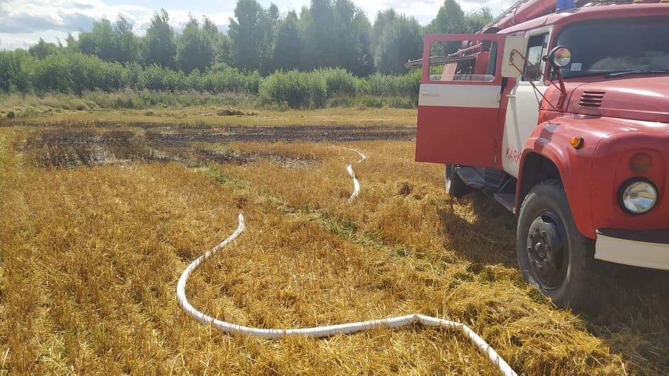 Trešdien Kārķu pagasta brīvprātīgais ugunsdzēsības formējums steidzās uz degošu labības lauku pagasta teritorijā, lai palīdzētu novērst ugunsnelaimi. Uguns liesmas izdevās nodzēst vēl pirms Valsts ugunsdzēsības un glābšanas dienesta ierašanās.                                                             

Autors: NO PERSONĪGĀ ARHĪVA