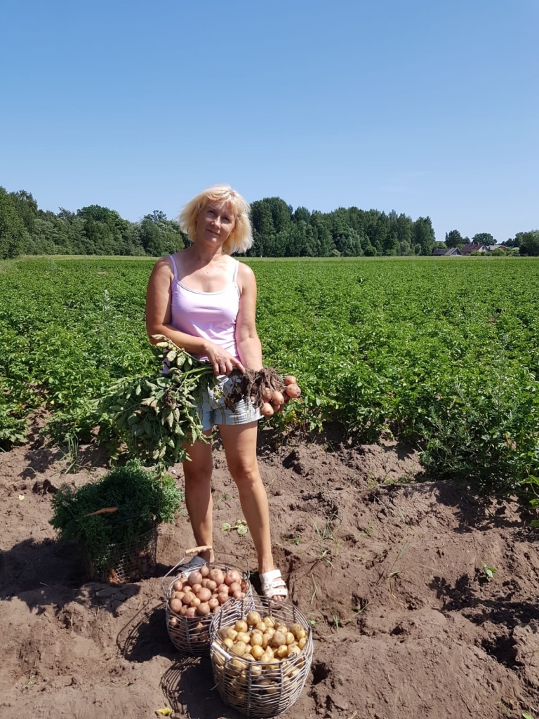 Dārzeņu audzētāja Sandra Eimane priecājas, ka vēlo šķirņu kartupeļu lauki paspēja noziedēt, pirms tur uzlidoja vaboles. 
                                                                     
Autors: no Sandras Eimanes personīgā arhīva