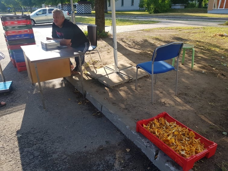 Šogad melleņu un gaileņu uzpircējiem rūpals neiet no rokas, jo mežā mellenes jāmeklē kā ar uguni. Uzpircēji cer, ka aizvadīto brīvdienu lietusgāzes būs svētīgas gaileņu augšanai.                                                           
Autors: INGA KARPOVA