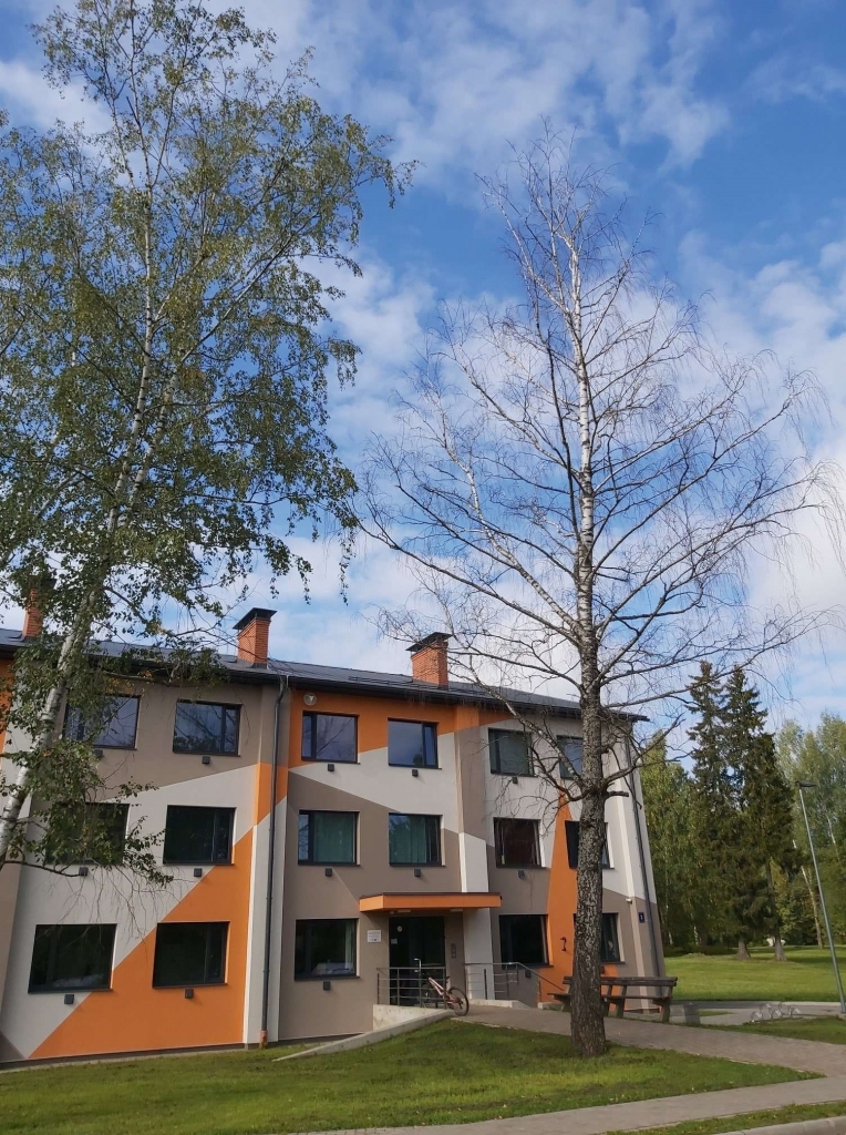 Pie Valkas ģimnāzijas kopmītņu ēkas ir nokaltis bērzs. Šis nav vienīgais koks, kurš pilsētā būtu jānozāģē. Tiklīdz varēs, darbs tiks paveikts, sola pašvaldībā.                                                                                     
Autors: INGŪNA JOHANSONE