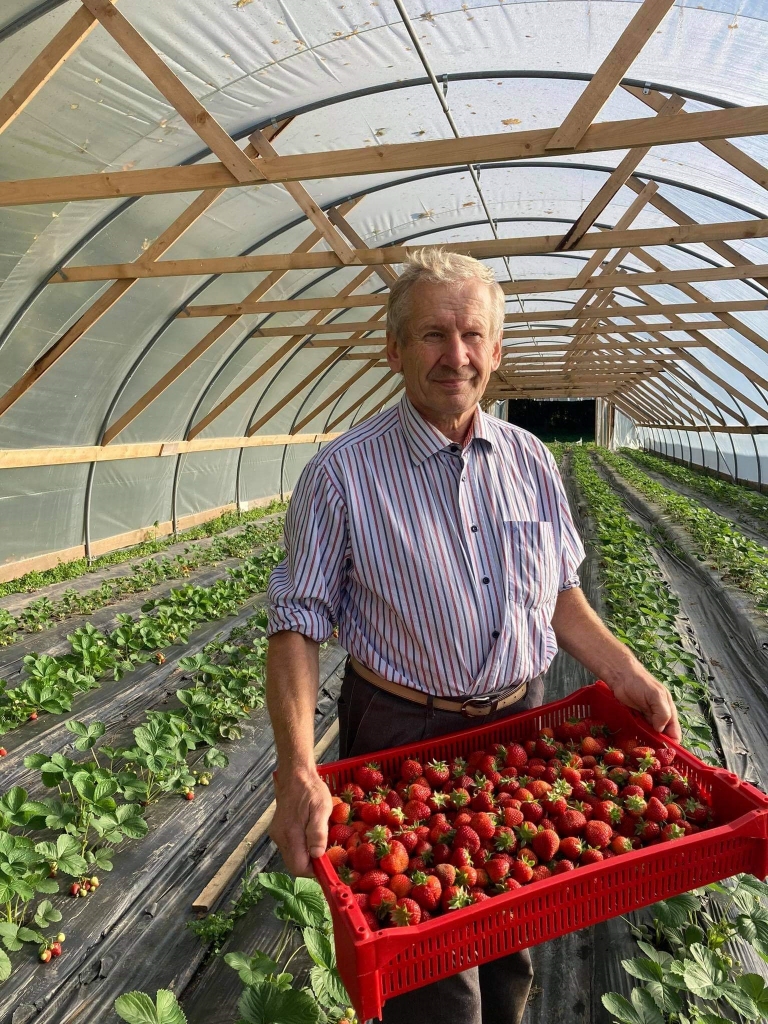 Aivars Urbasts priecājas, ka ir izdevies atrast veidu, kā Latvijā audzētām zemenēm paildzināt ražas ienākšanās laiku līdz pat salnām.        
Autors: no zemnieku saimniecības “Mežnoras” personīgā arhīva