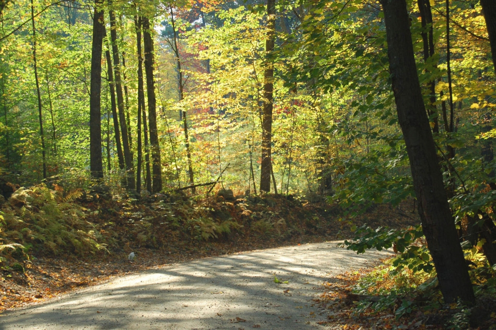 Autors: freeimages.com