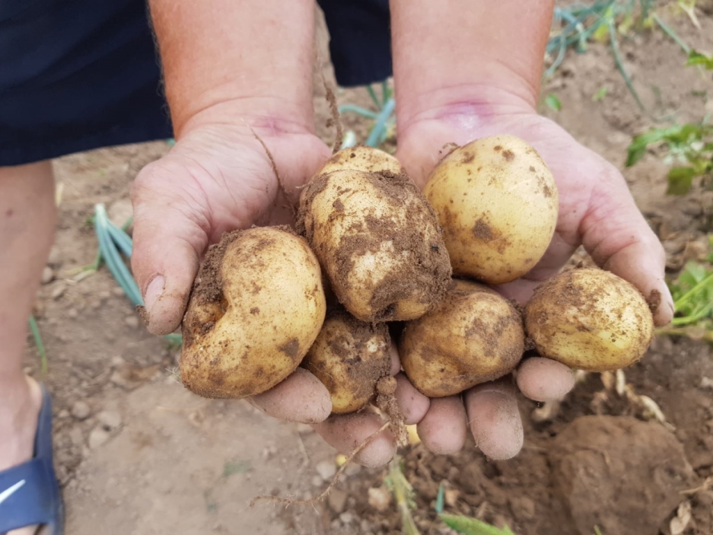 Autors: no Borisa un Ināras Teterevu fonda arhīva