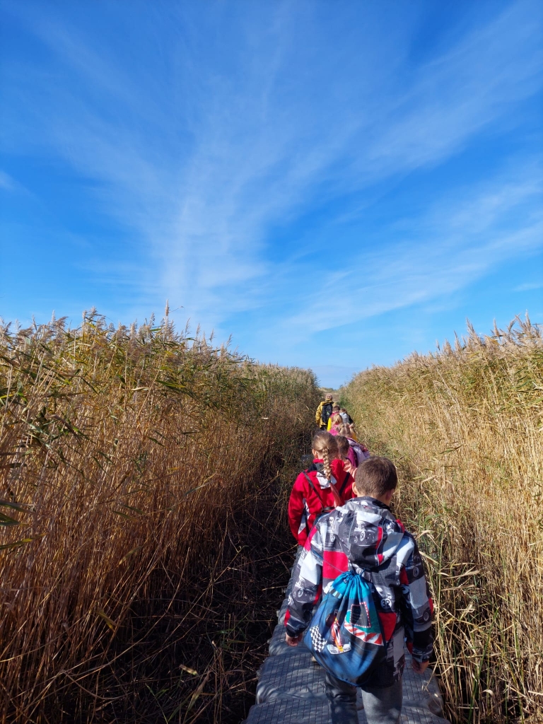 Nodarbība dabas liegumā “Randu pļava”.
Autors: Publicitātes foto