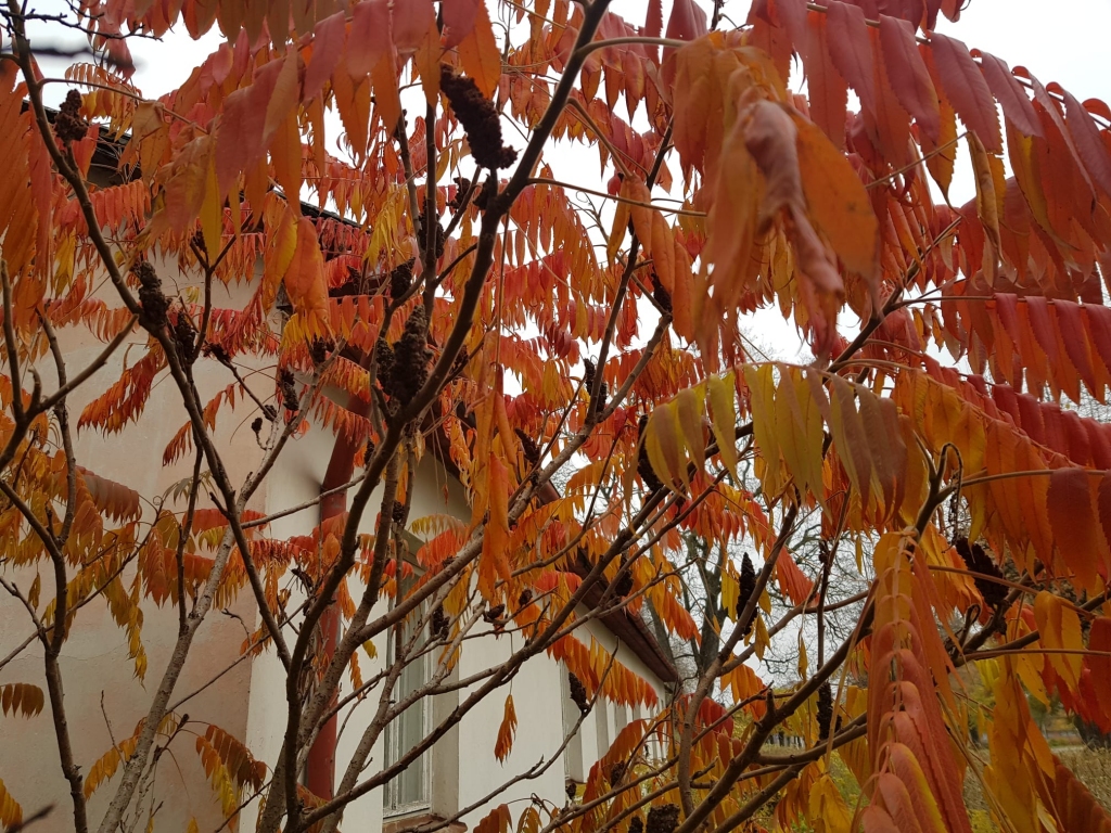 Autors: Inga Karpova