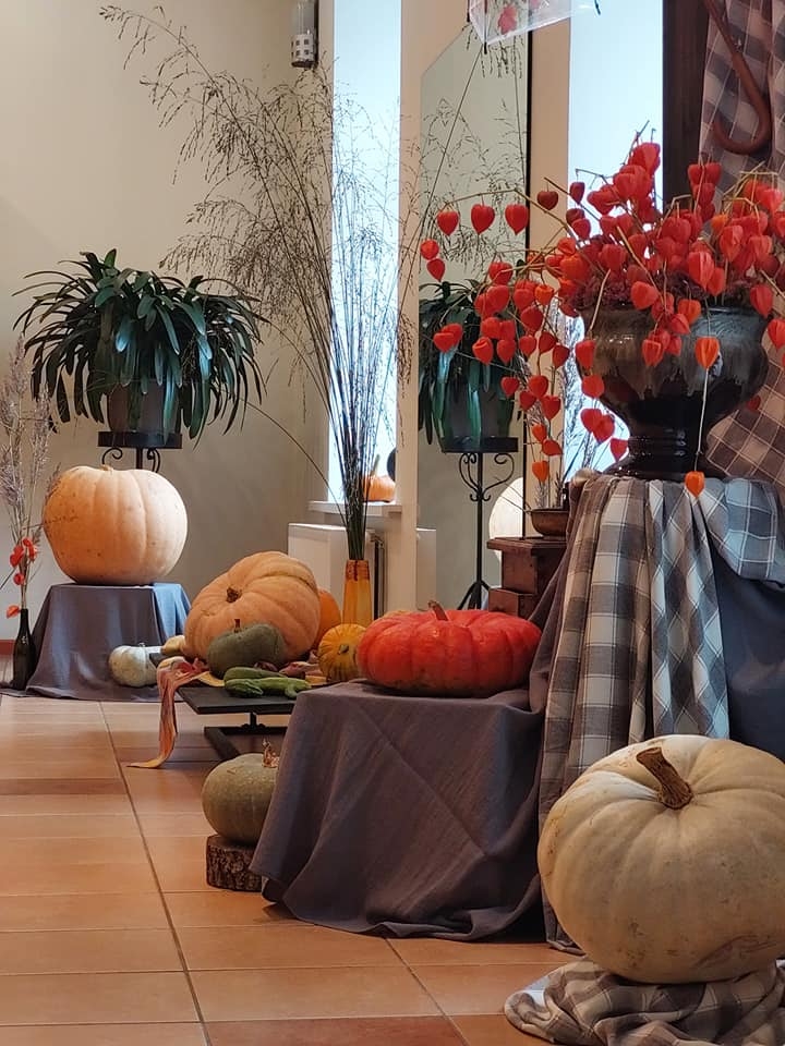 Par izstādes “Izkrāso rudeni Apes tautas namā” māksliniecisko noformējumu parūpējušās pašas iestādes darbinieces.                                                                                                                                                                               
Autors: Ilva Sāre