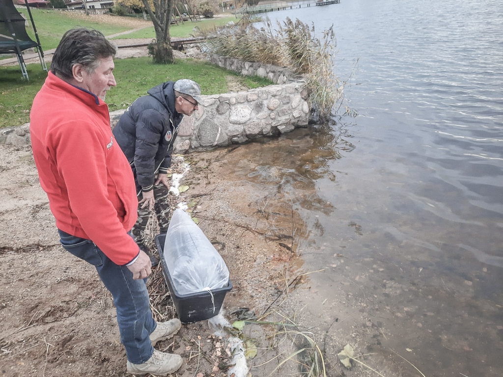 Autors: Publicitātes foto