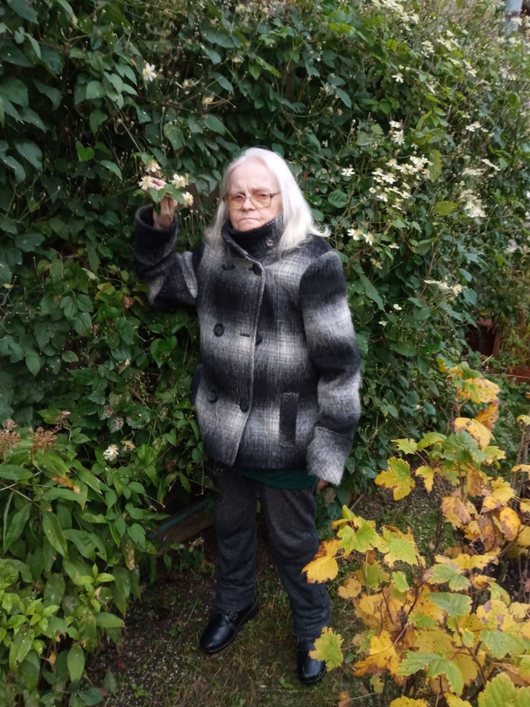 Pēc došanās sen nopelnītajā pensijā Variņu ciema iedzīvotāja Maiga Āboliņa saikni ar bērniem pavisam nezaudēs. Viņa turpinās vadīt lietišķās mākslas pulciņu, kur tapušie darbi apskatāmi seniores privātajā muzejā līdz ar pašas apgleznošanas meistares darbiem.                
Autors: DAIGA ĒRMANE