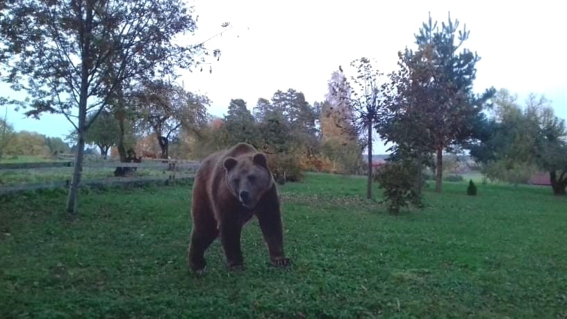 Autors: Jurģis Vancāns