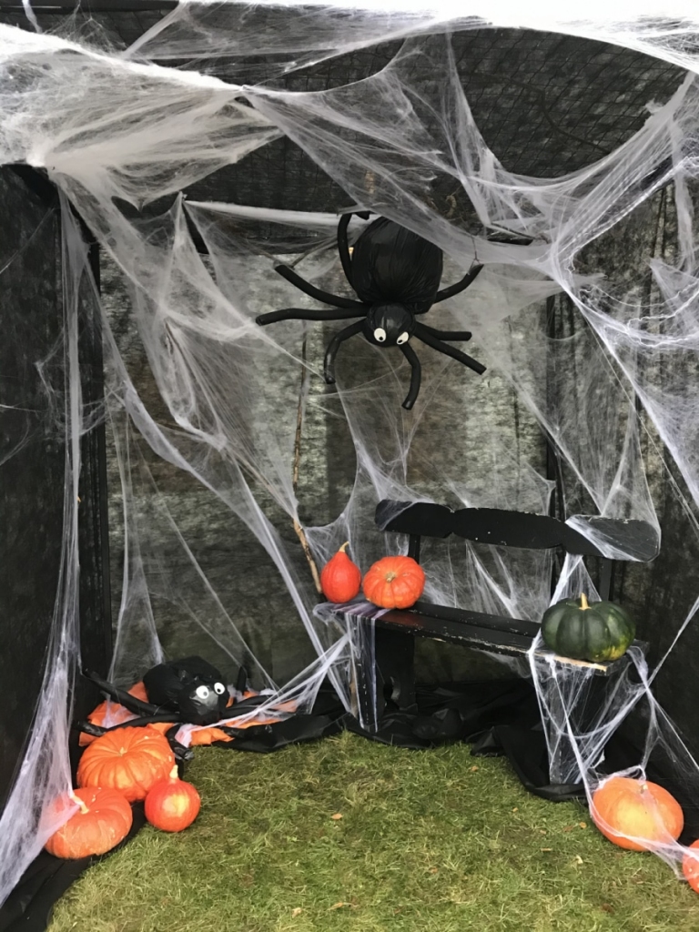 Autors: Publicitātes foto