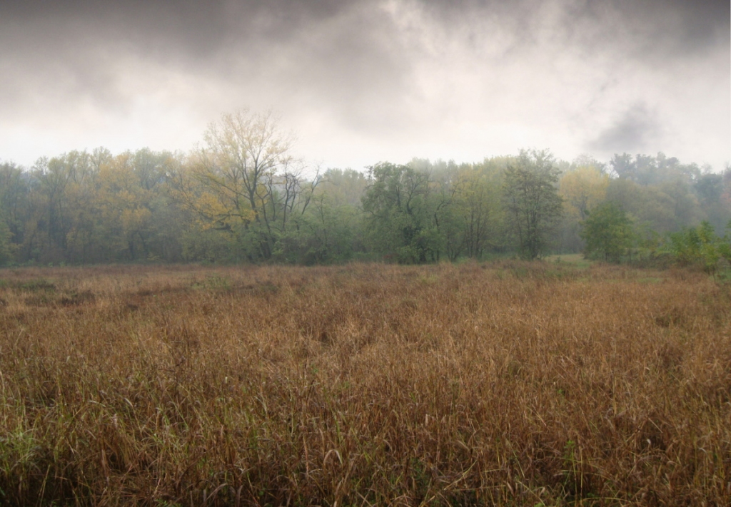 Autors: freeimages.com