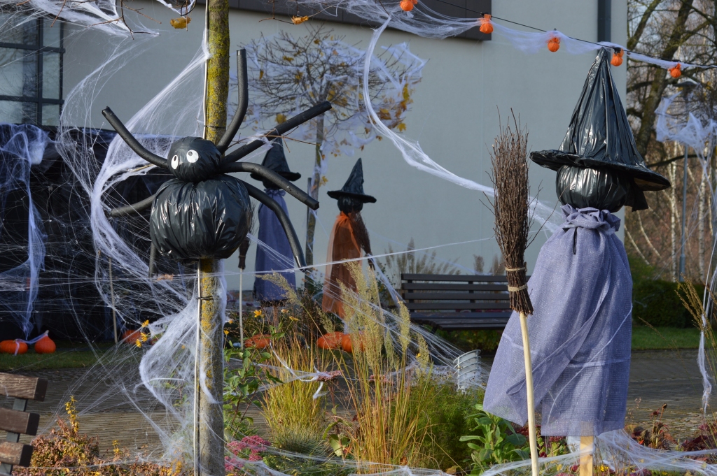 Autors: Sandra Pētersone