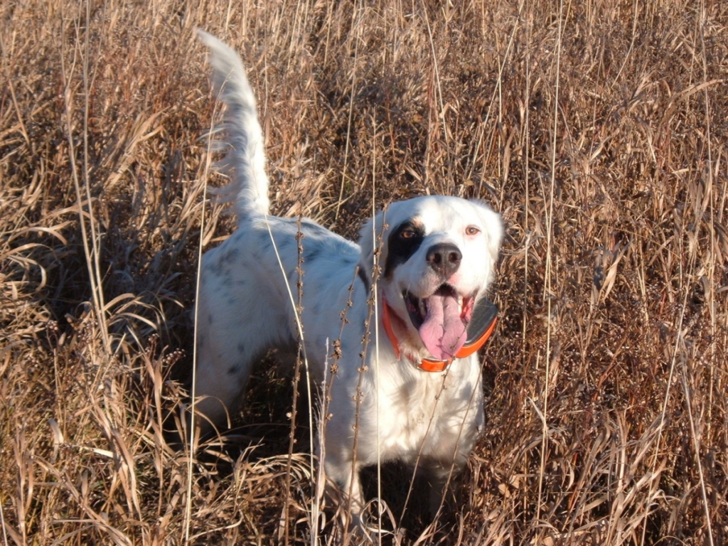 Autors: freeimages.com