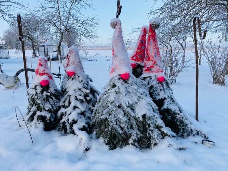 Atsaucoties aicinājumam veidot kopīgu virtuālo rūķu fotogrāfiju un dzejas grāmatu, cilvēki jau sākuši dalīties ar saviem krājumiem. 
Autors:  LĪGA JAROSLAVSKA