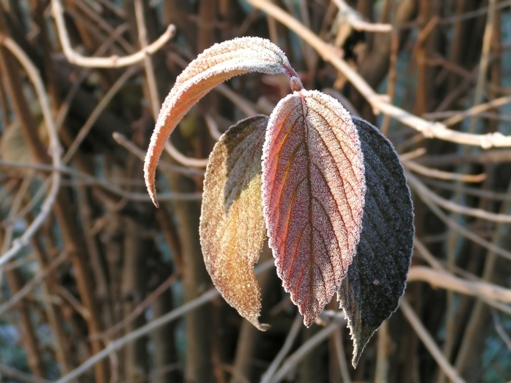 Autors: freeimages.com