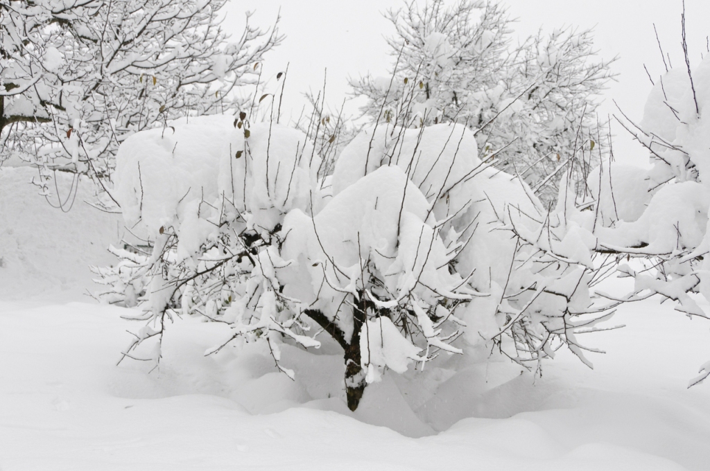 Autors: freeimages.com