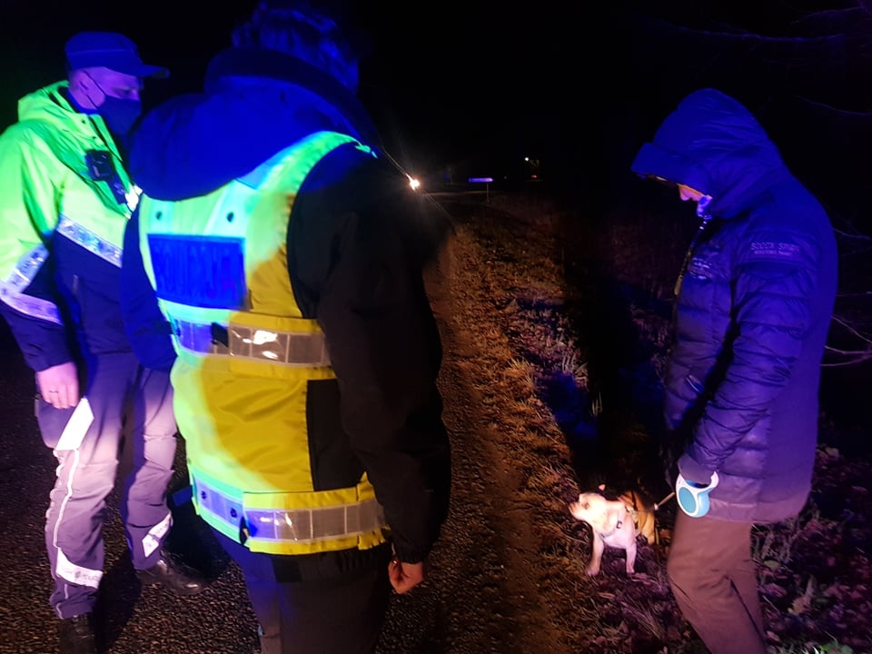 Lai diennakts tumšajā laikā gājēji būtu labi saskatāmi transportlīdzekļu vadītājiem, Valsts policijas Vidzemes reģiona pārvaldes Satiksmes uzraudzības rotas inspektors Ivars Boževnieks un Valsts policijas Vidzemes reģiona pārvaldes Kārtības policijas biroja Prevencijas grupas vecākā inspektore Ieva Proliņa sniedz noderīgus ieteikumus kādai Bilskas pagasta iedzīvotājai, kura bija devusies pastaigā ar savu četrkājaino draugu. Likumsargi atgādina, ka suņu saimniekiem ir jārūpējas arī par viņu redzamību.                                                                
Autors: INGA KARPOVA