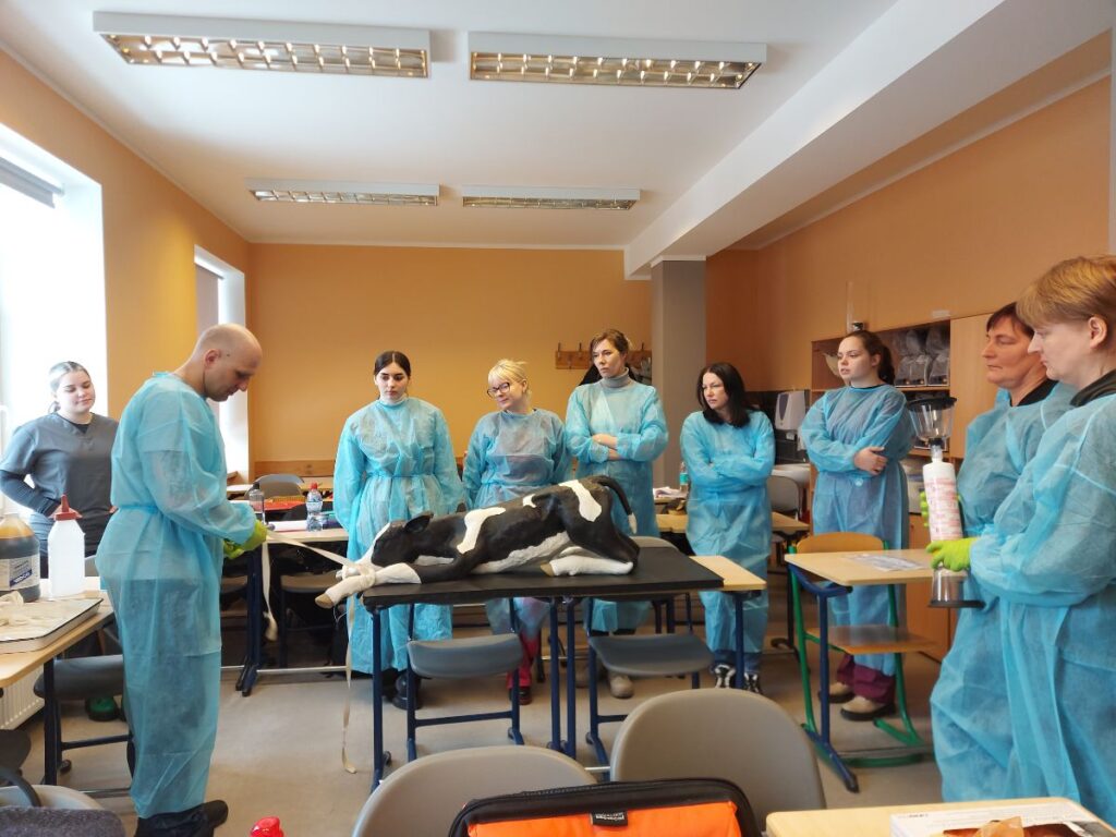 Aluksniesiem.lv raksta attēla aizvietotājs