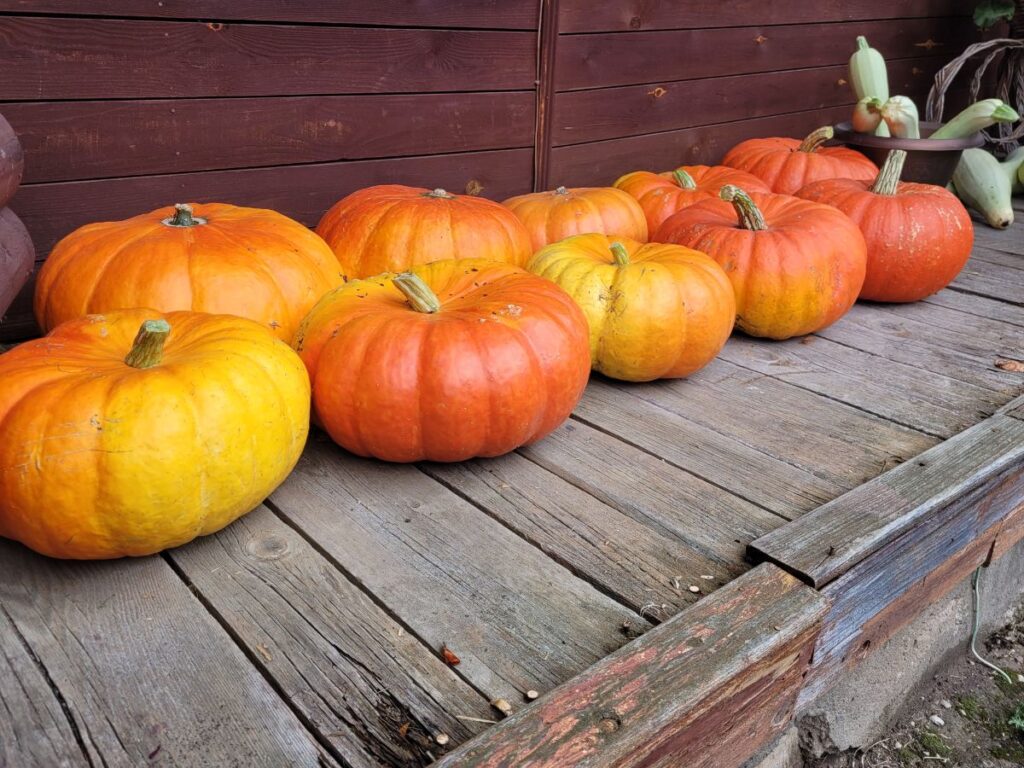Autors: Foto: no Borisa un Ināras Teterevu fonda arhīva