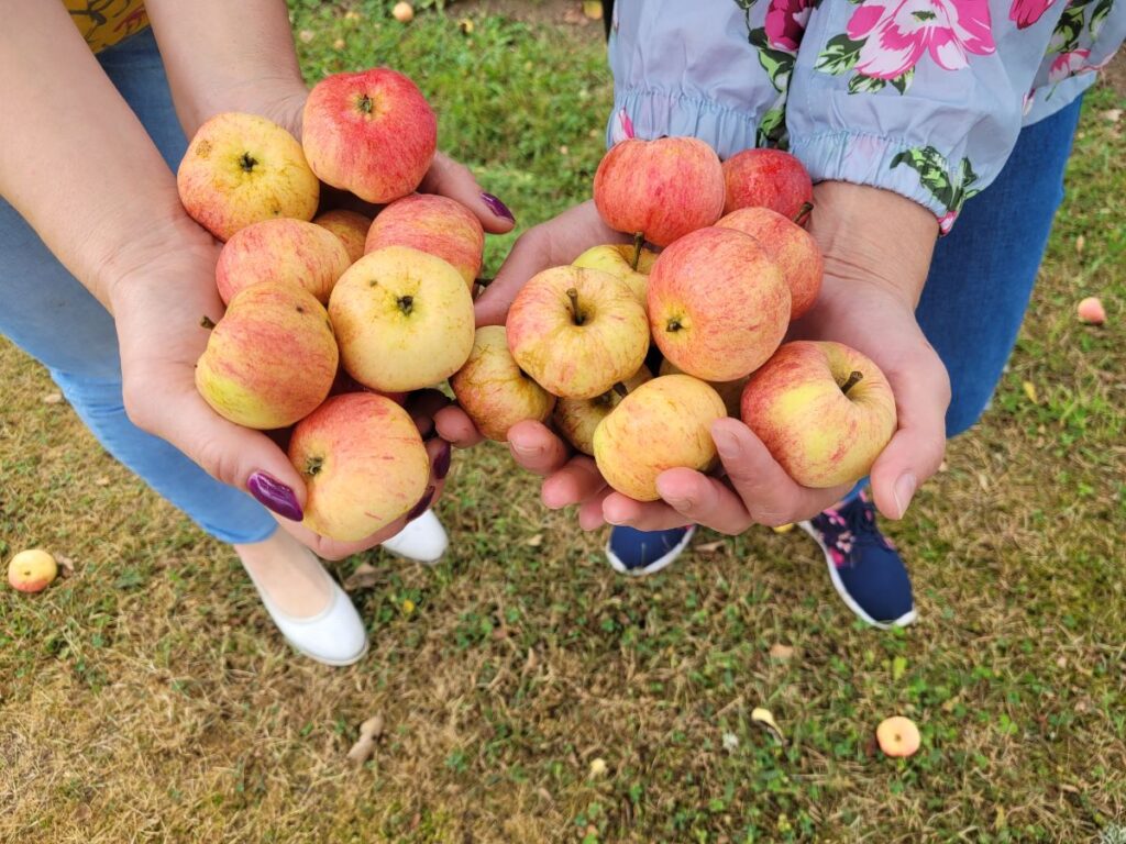 Autors: Foto: no Borisa un Ināras Teterevu fonda arhīva