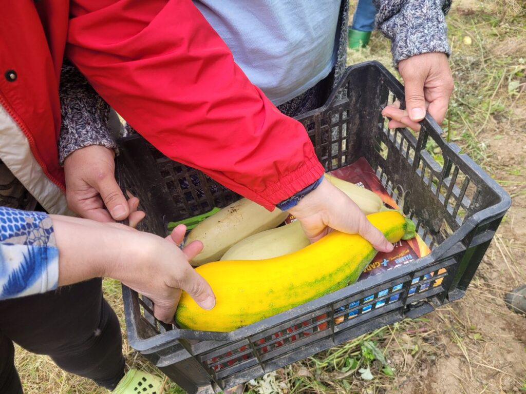 Autors: Foto: no Borisa un Ināras Teterevu fonda arhīva