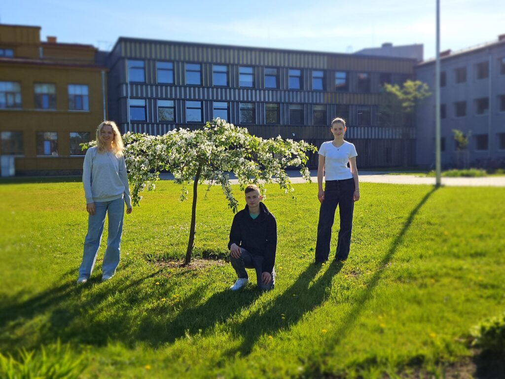 Aluksniesiem.lv raksta attēla aizvietotājs