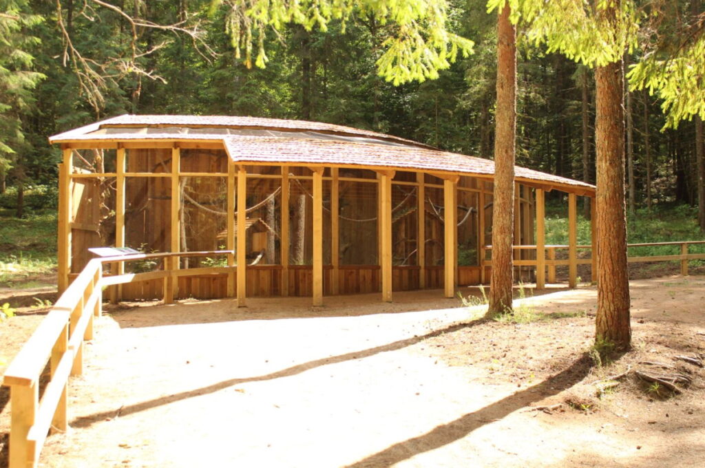 Autors: Foto: Valters Kinna (Dabas aizsardzības pārvaldes Līgatnes dabas takas)