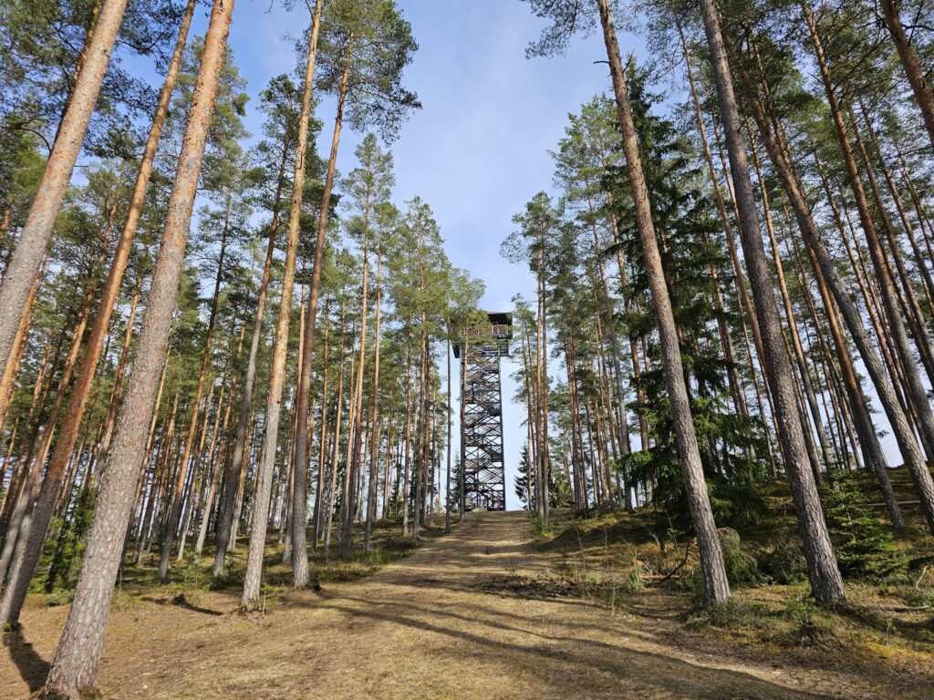 Cirgaļu skatu tornis