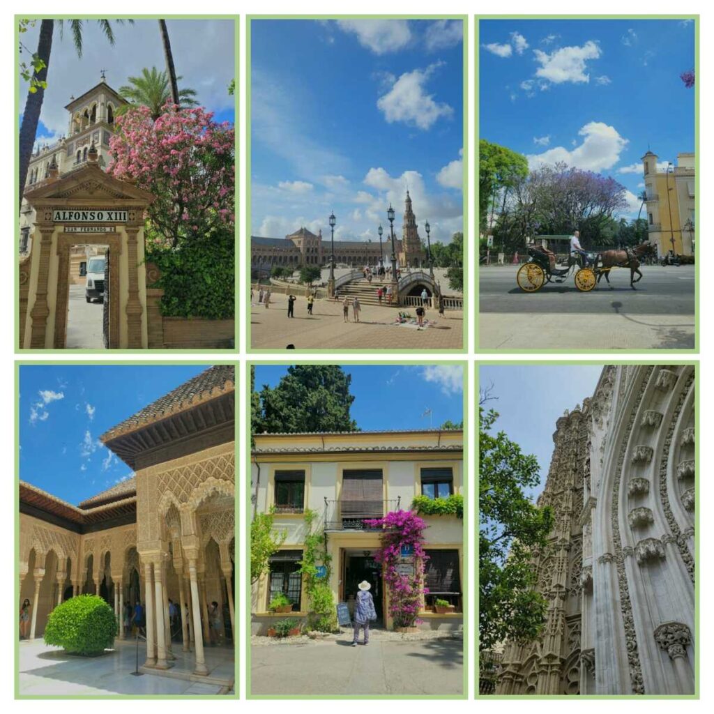 Autors: Foto: D.Pakalne