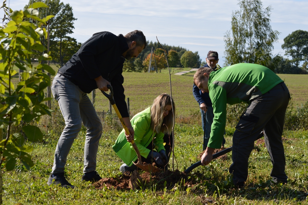 Aluksniesiem.lv raksta attēla aizvietotājs