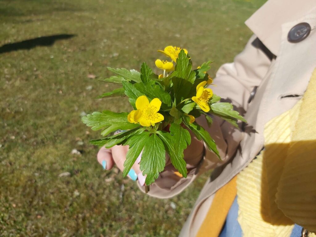 Autors: Foto: Ingūna Johansone