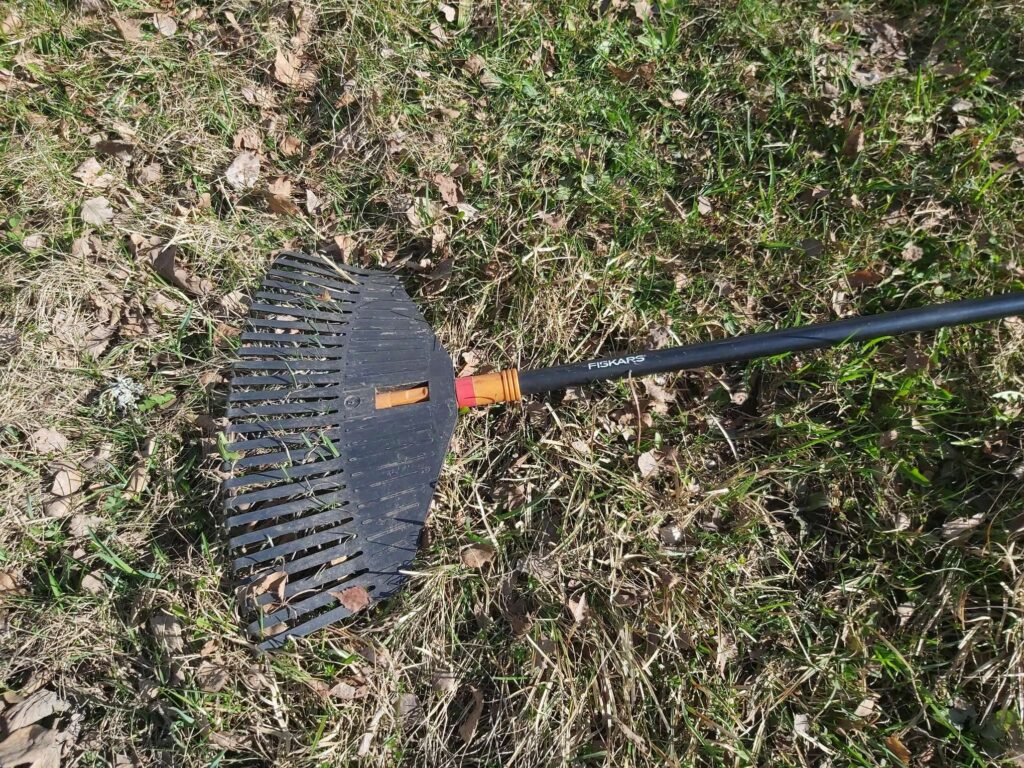 Autors: Foto: Ingūna Johansone