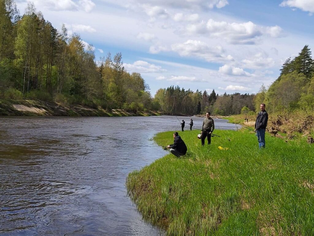 Aluksniesiem.lv raksta attēla aizvietotājs