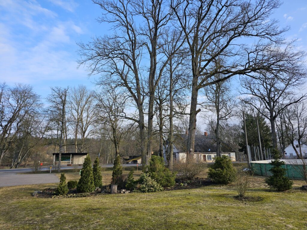 Vijciems
Autors: FOTO: Līga Orleana