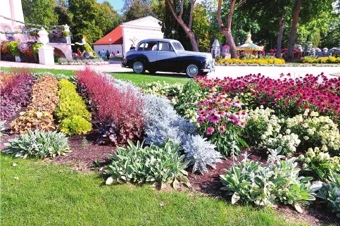 Pat septembra vidū Pakrojas muižas teritorijā acis žilbst no ziedu krāšņuma un daudzveidības.