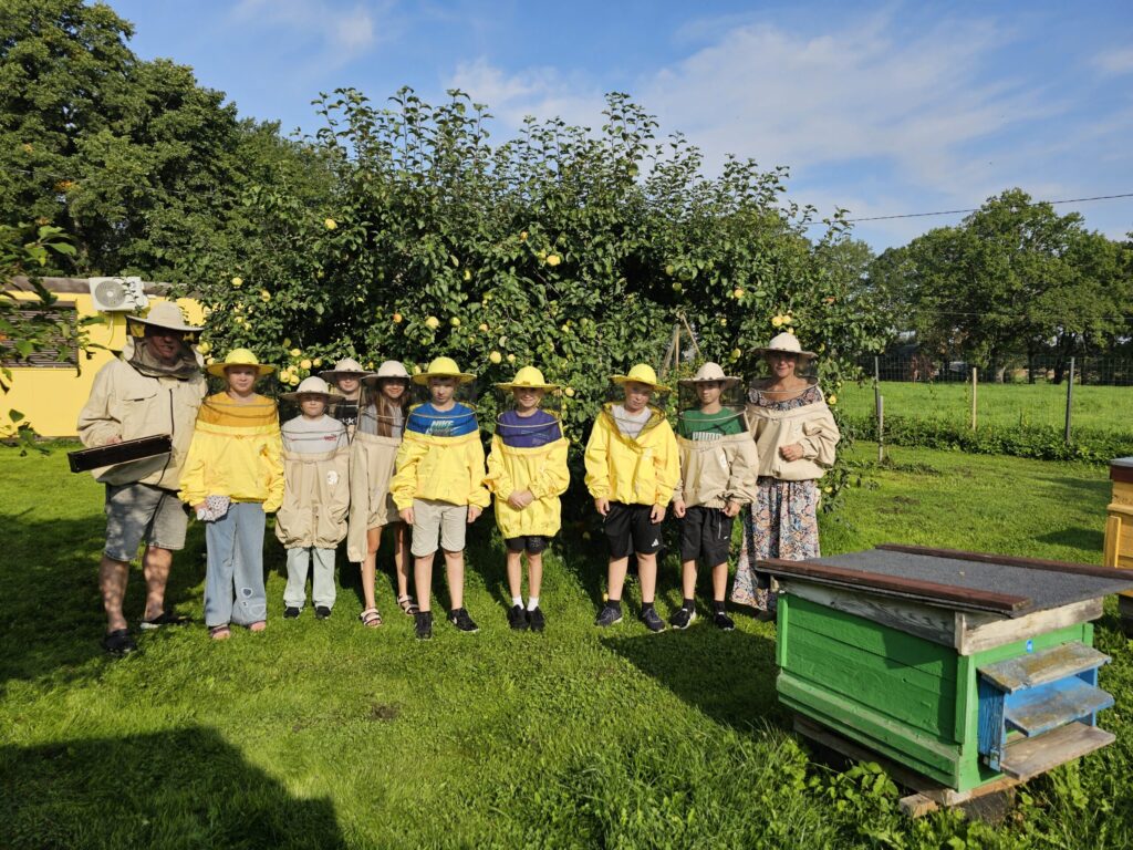 Aluksniesiem.lv raksta attēla aizvietotājs