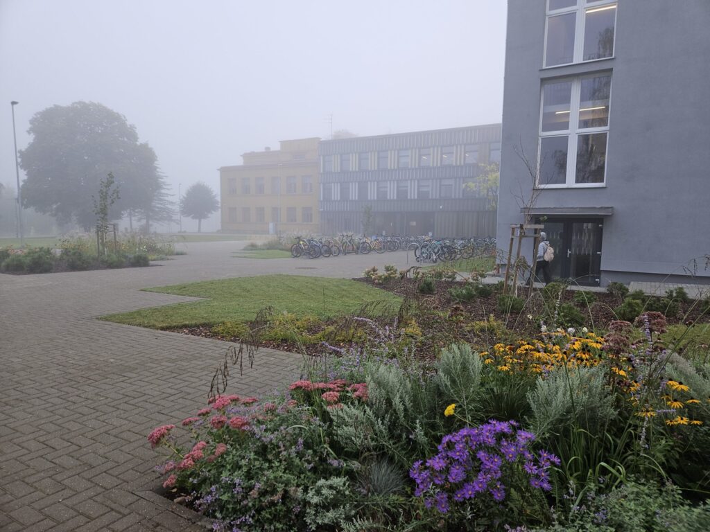 Autors: Foto: Baiba Vahere, Tatjana Vovere, Sarmīte Rīdere, Inguna Kudlāne, no personiskā arhīva.