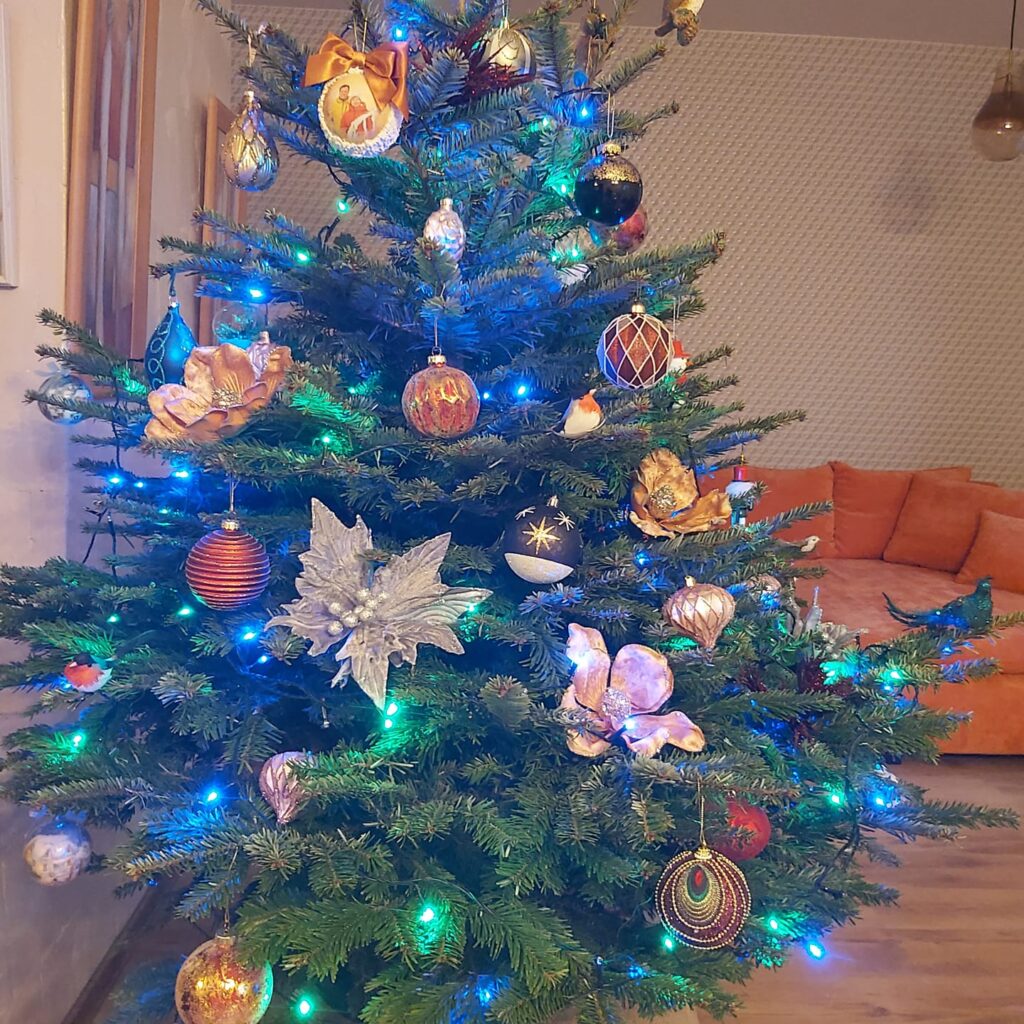 Ingūna. Izgreznota eglīte svētku laikā ir skaists akcents telpai.