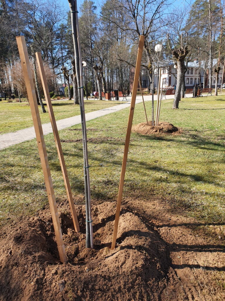 Autors: Foto: strencupns.lv