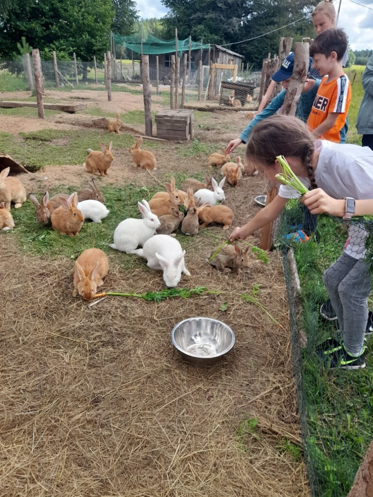 Autors: Foto: D.Bojāre