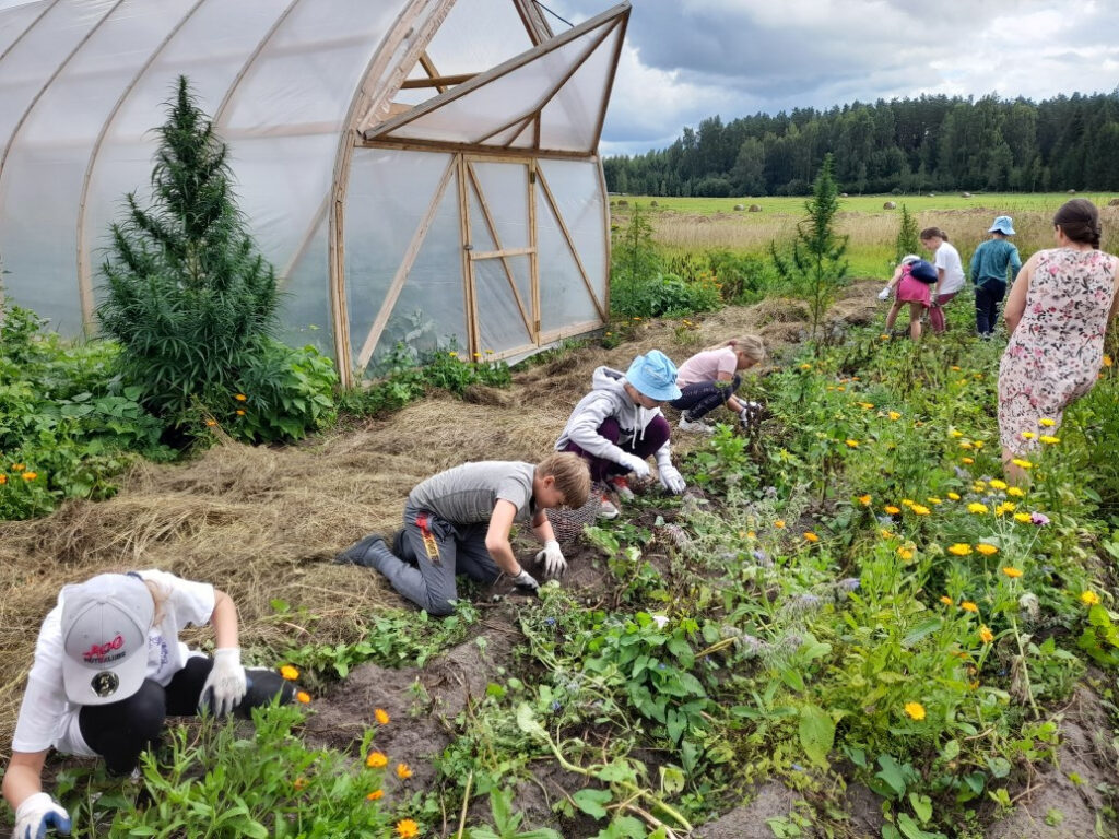 Autors: Foto: D.Bojāre