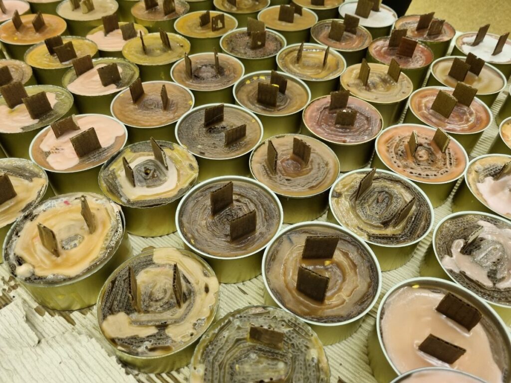 Autors: Foto: Līga Orleana